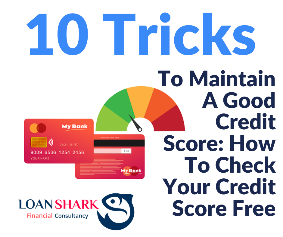 To Maintain A Good Credit Score: How To Check Your Credit Score Free
